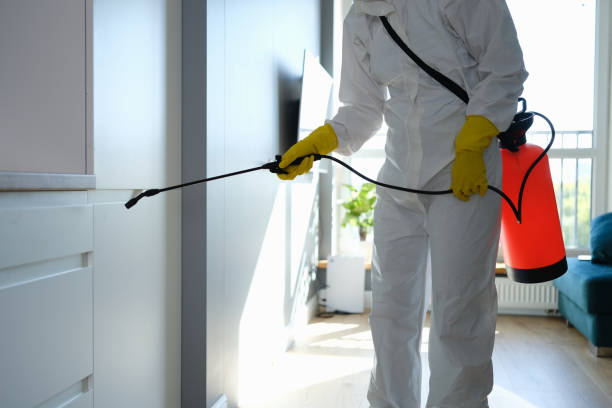 Best Home Mold Removal  in Newcastle, WY