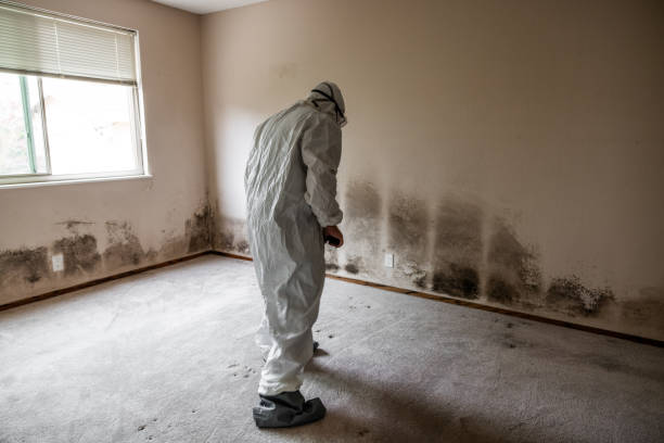 Best Commercial Mold Removal  in Newcastle, WY